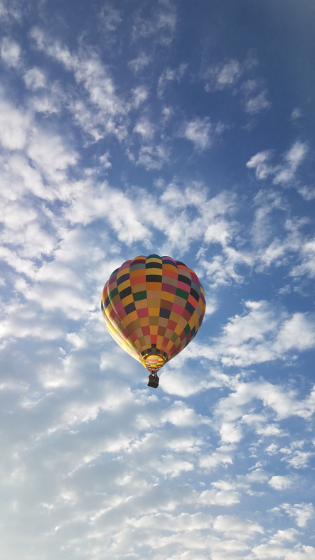 כדור פורח בעמק יזרעאל